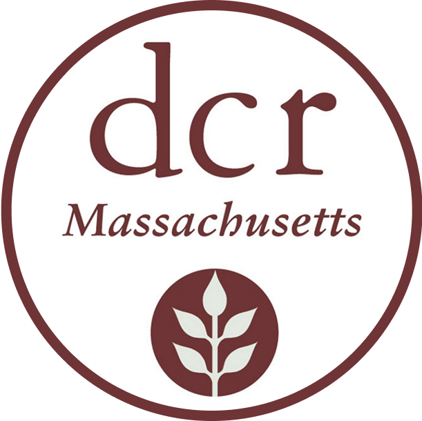 DCR Massachusetts